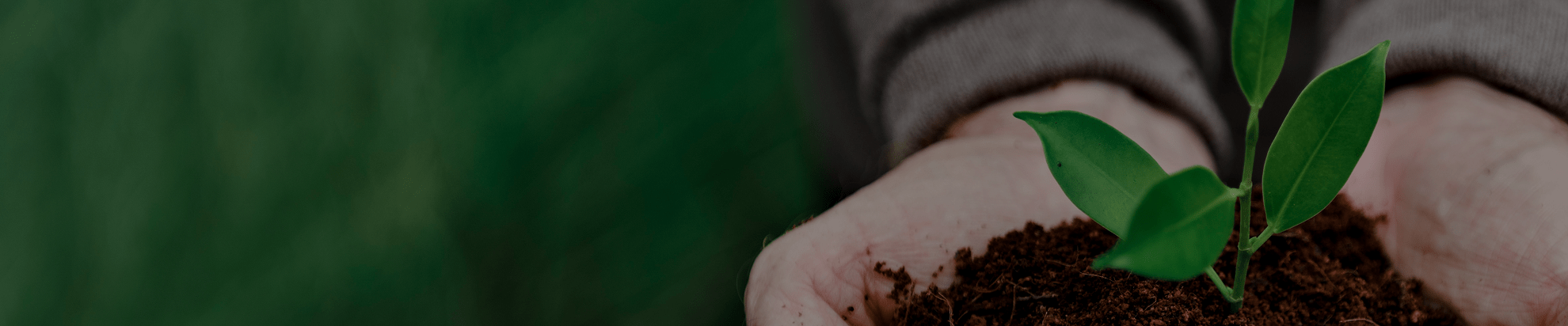 Banner Programa Biofert